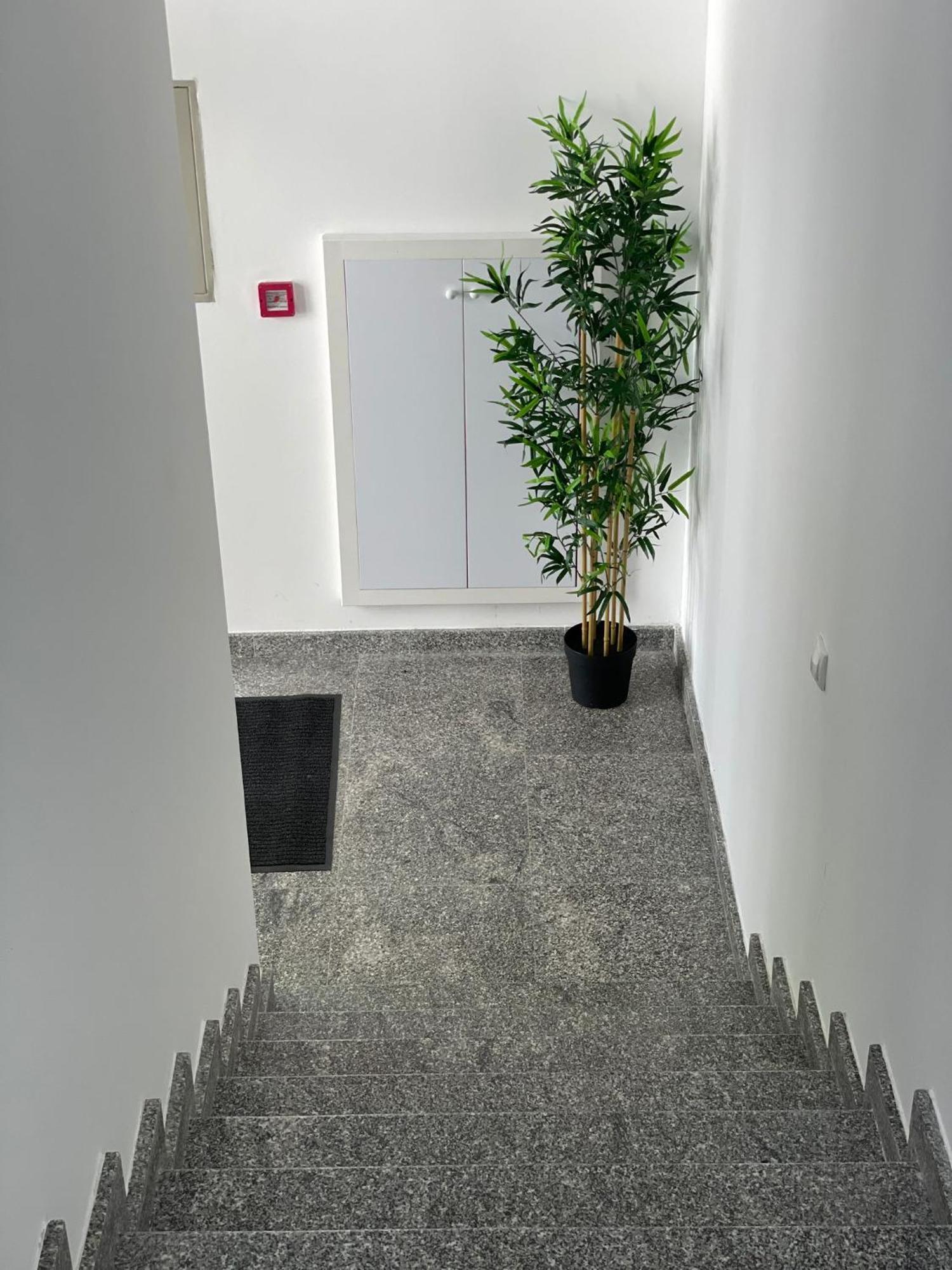 Morpheus Apartmani Sremska Mitrovica Exteriér fotografie
